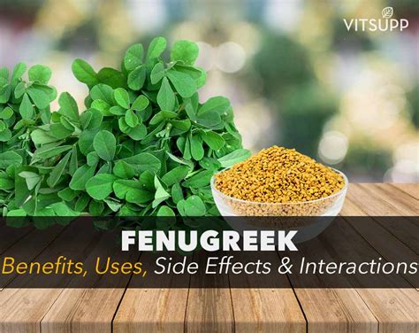 Fenugreek benefits, dosage, and side effects .